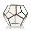 Glass Terrarium - Large Octagon - JOLIGIFT.UK