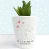 https://www.treatgifts.com/assets/images/catalog-product/personalised-the-best-mama-bear-mini-plant-pot-per3353-001.jpg