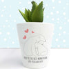 Personalised The Best Mama Bear Mini Plant Pot - JOLIGIFT.UK